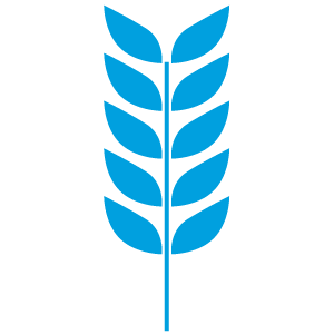 ライスフィールド株式会社