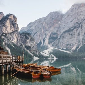 ライスフィールド株式会社