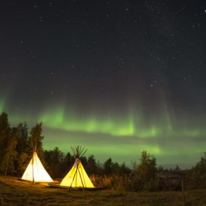 ライスフィールド株式会社
