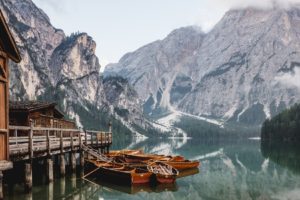ライスフィールド株式会社